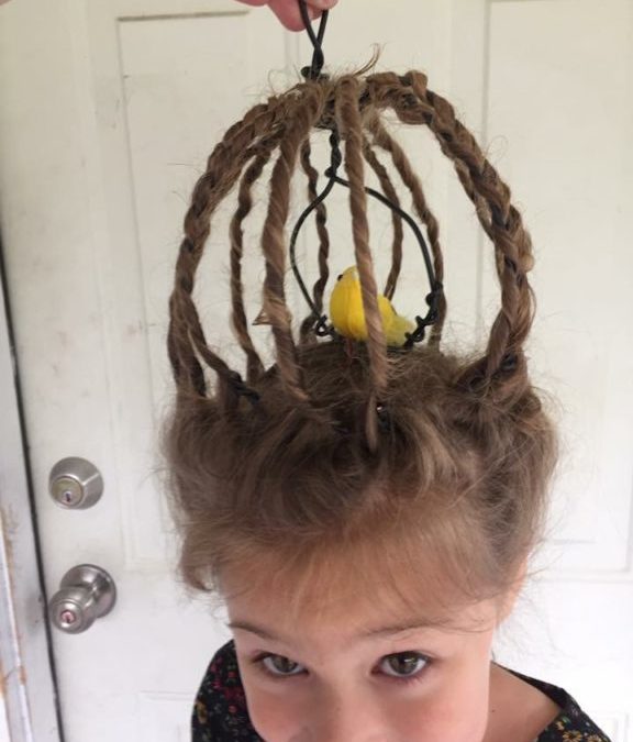 Bird Cage Crazy Hair Day