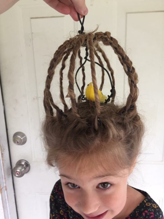 Bird Cage Crazy Hair Day