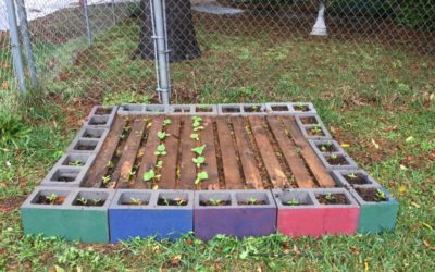 Pallet Vegetable Garden