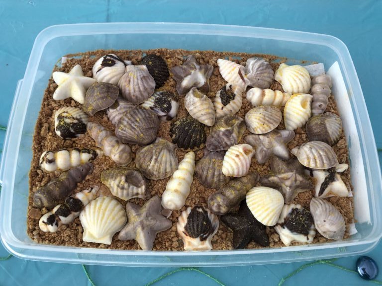 Chocolate Shells